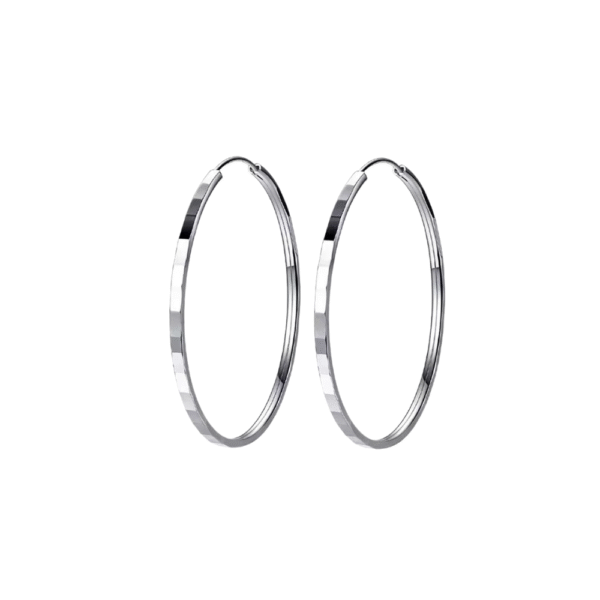 Senlissi - New Fashion18K Gold Plated Hoop Earrings For Women 925 Sterling Silver 2.0mm Fashion Earring Cерьги Kольца 3/4/5/6CM