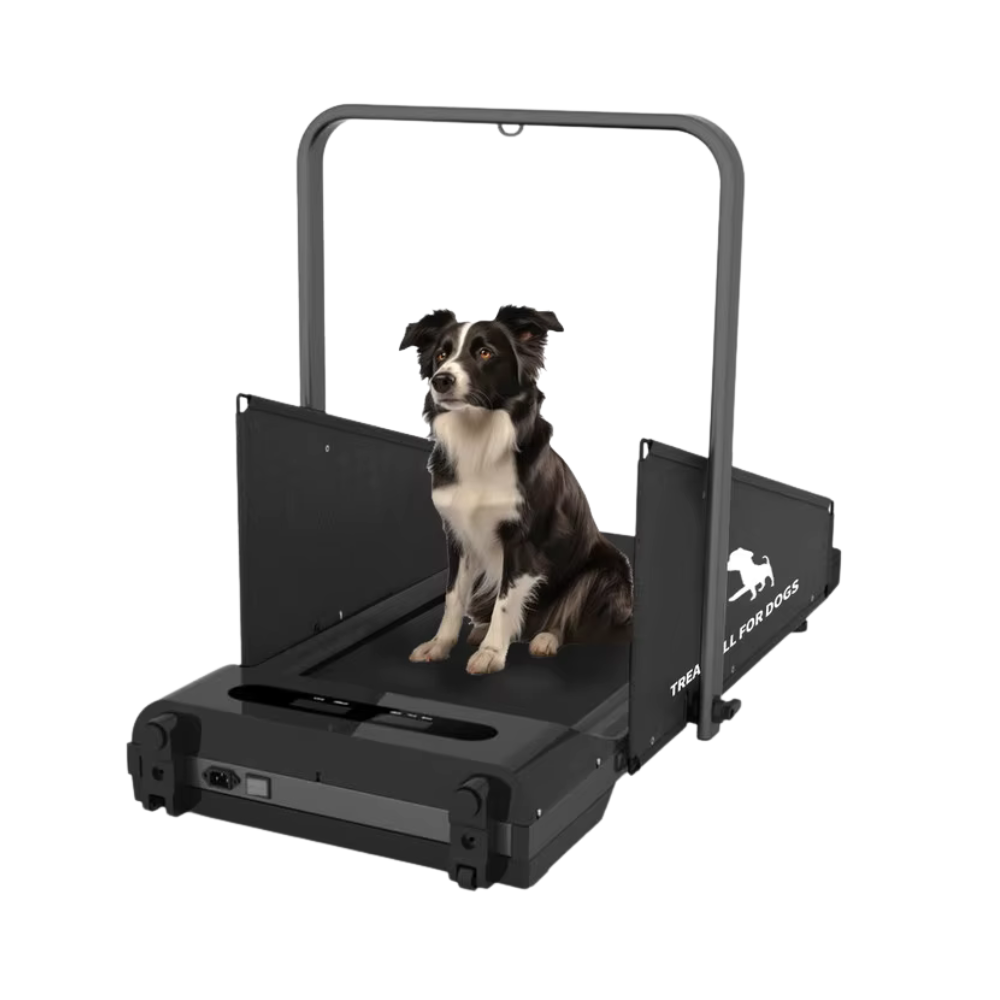 Dog Treadmill for Small Medium Dogs 2.5 Hp 220lbs Foldable Pet Treadmill for Doggy Running Machine 2 in 1 Dog Pacer Treadmill Pa